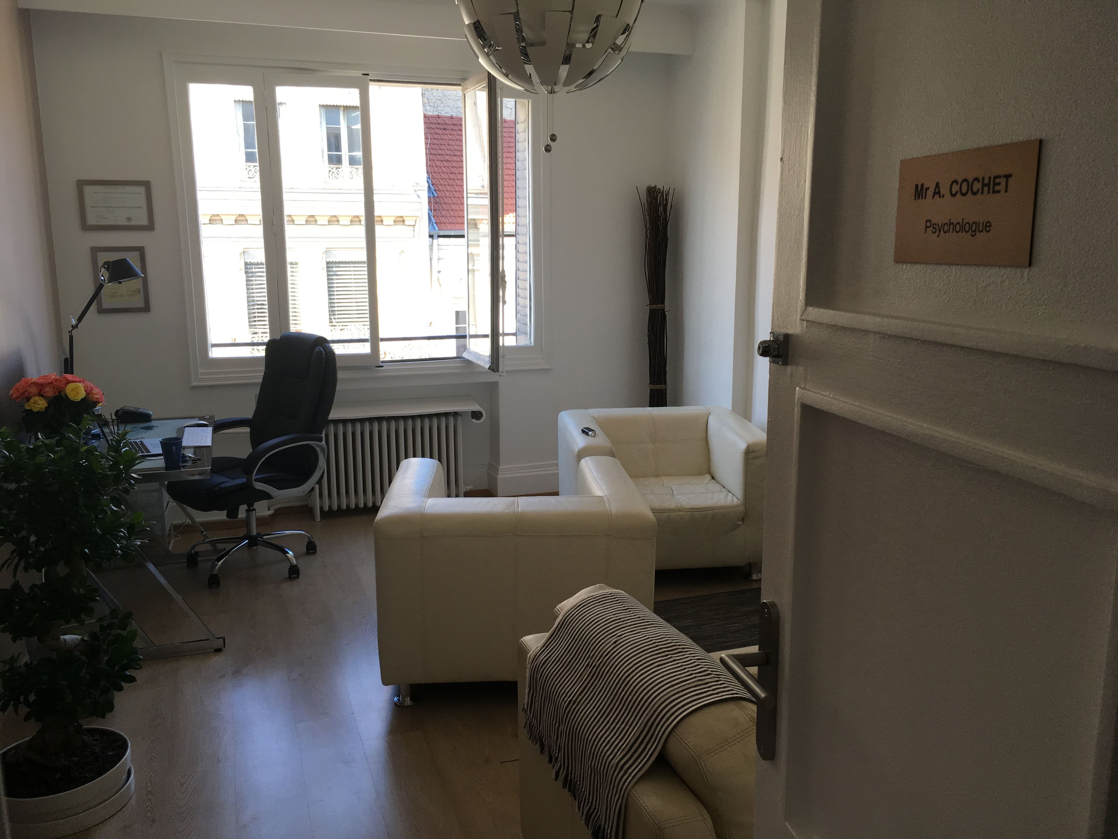 Le cabinet, fauteuil et autre